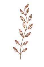 Finding Balance botanical