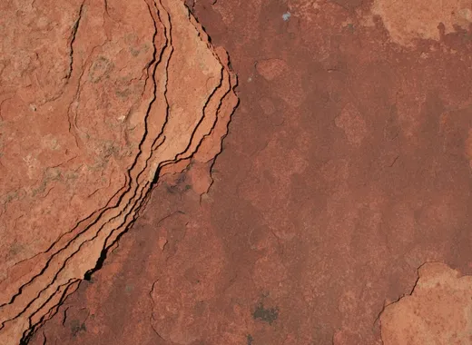 Red bark