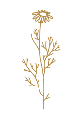 Moving Forward botanical