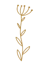Understanding Yourself - botanical